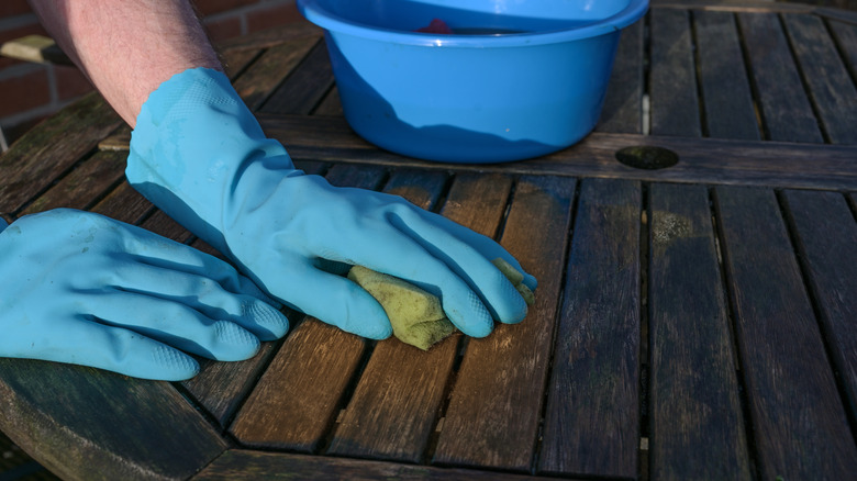 How to Clean Bird Poop off Deck: Quick, Easy, and Effective Tips