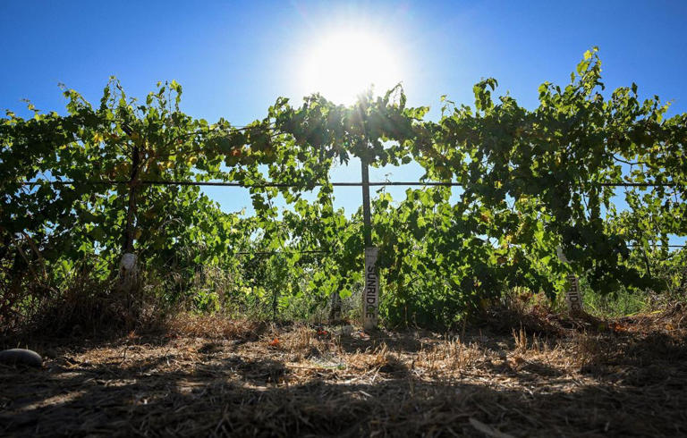 These ‘forever chemicals' pollute Fresno more than any other county in ...