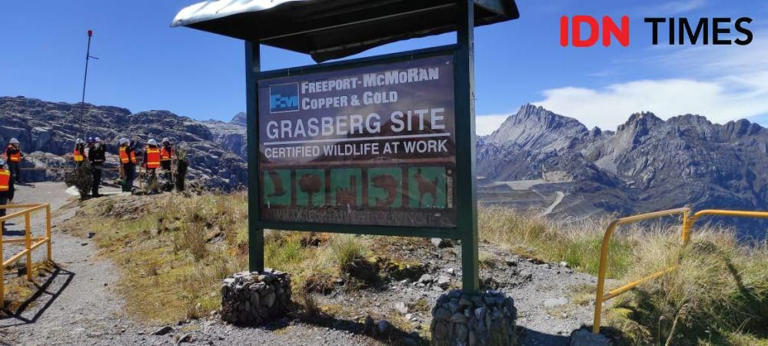 Kawasan Tambang Freeport Indonesia di Grasberg, Tembagapura, Papua. (IDN Times/Uni Lubis)