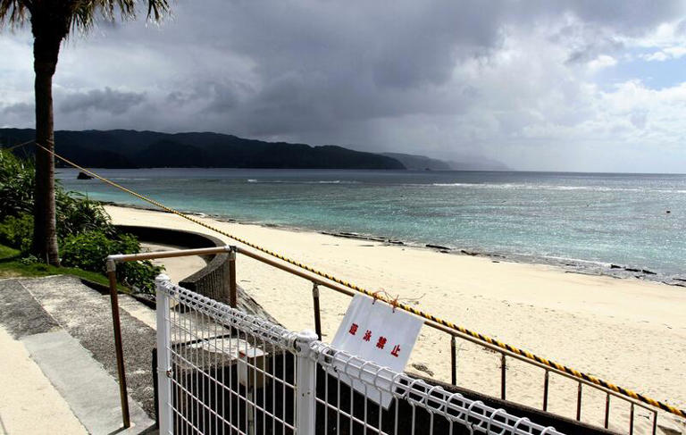 Japan tsunami danger zone