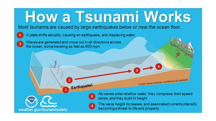 What Causes Tsunamis? How They Form And Why Their Size Varies