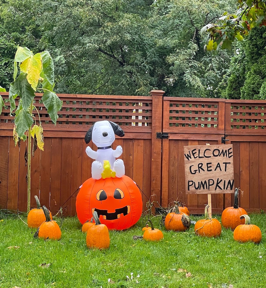 outdoor halloween decor