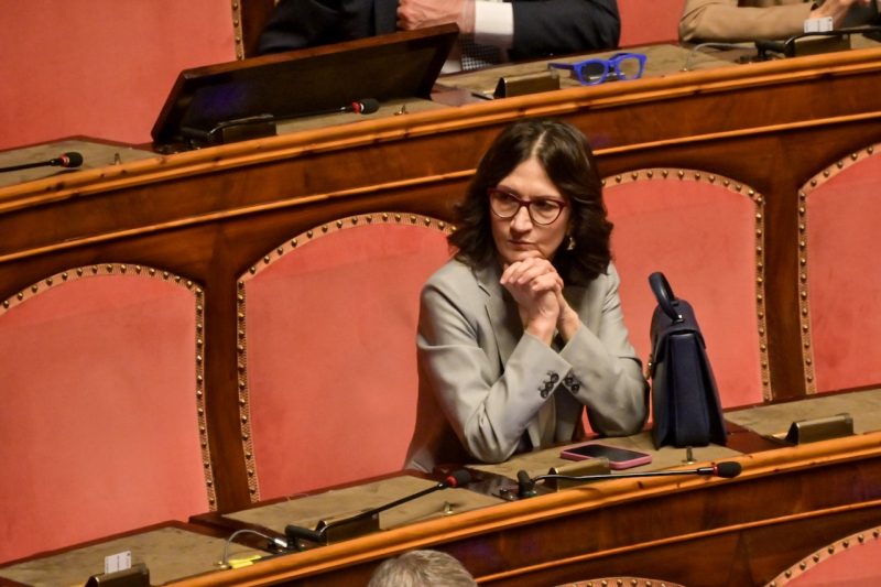 Mariastella Gelmini (Imagoeconomica).