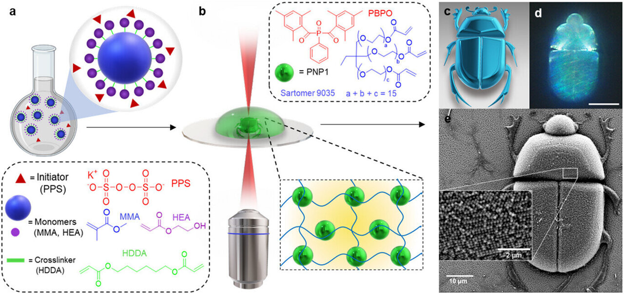 Programmable nanospheres unlock nature's 500-million-year-old color secrets