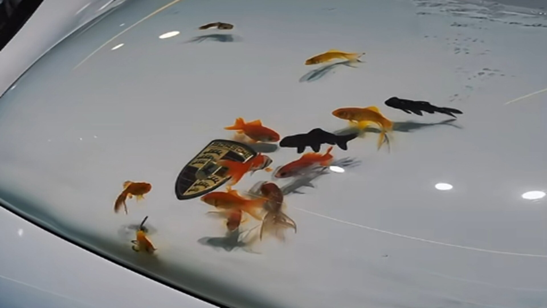 Fischereimer Für Lebende Fische - Tragbarer Köderbehälter Aus EVA, 3 Größen