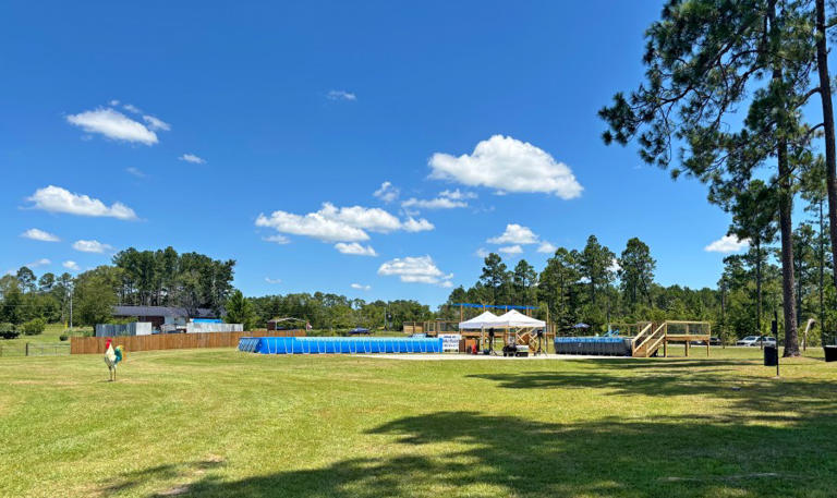 Dock diving competition for dogs coming to Swainsboro