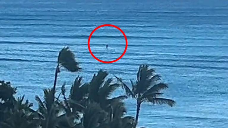 Hilo hawaii tsunami