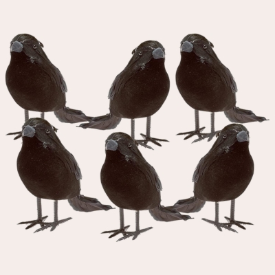 Black-Feathered Small Crows (set of 6)