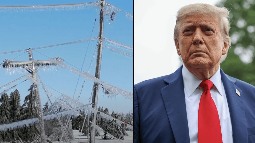 WATCH: Michigan officials outline FEMA options following ice storm ...