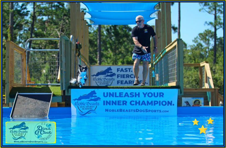 Dock diving competition for dogs coming to Swainsboro
