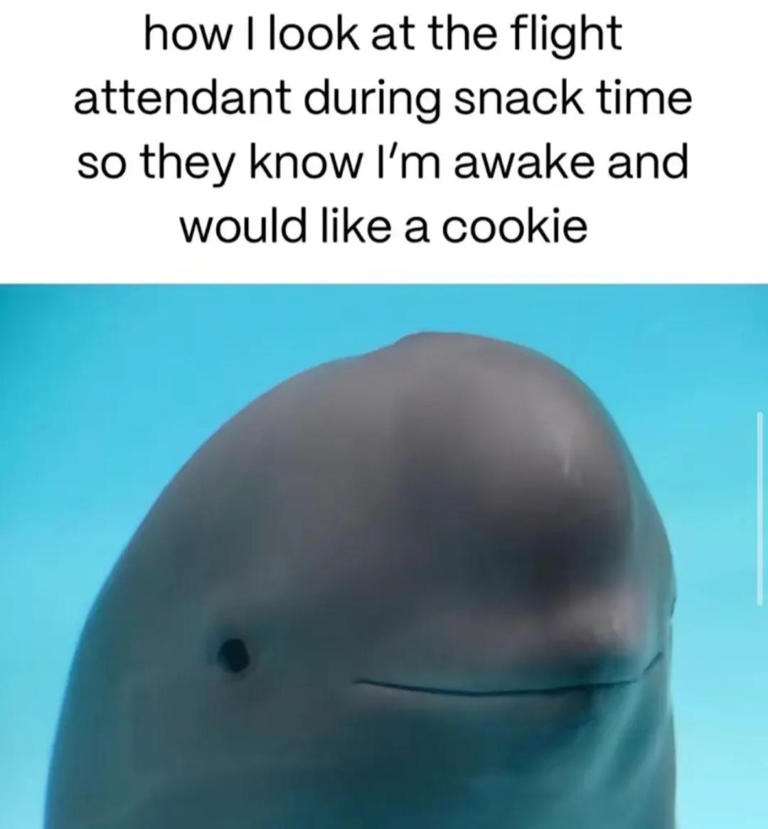 50 extremely random things basically every person on earth has ...