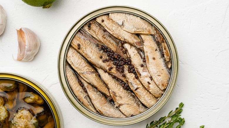 Affordable Fish Food Options: Top Budget Picks for Healthy Fish