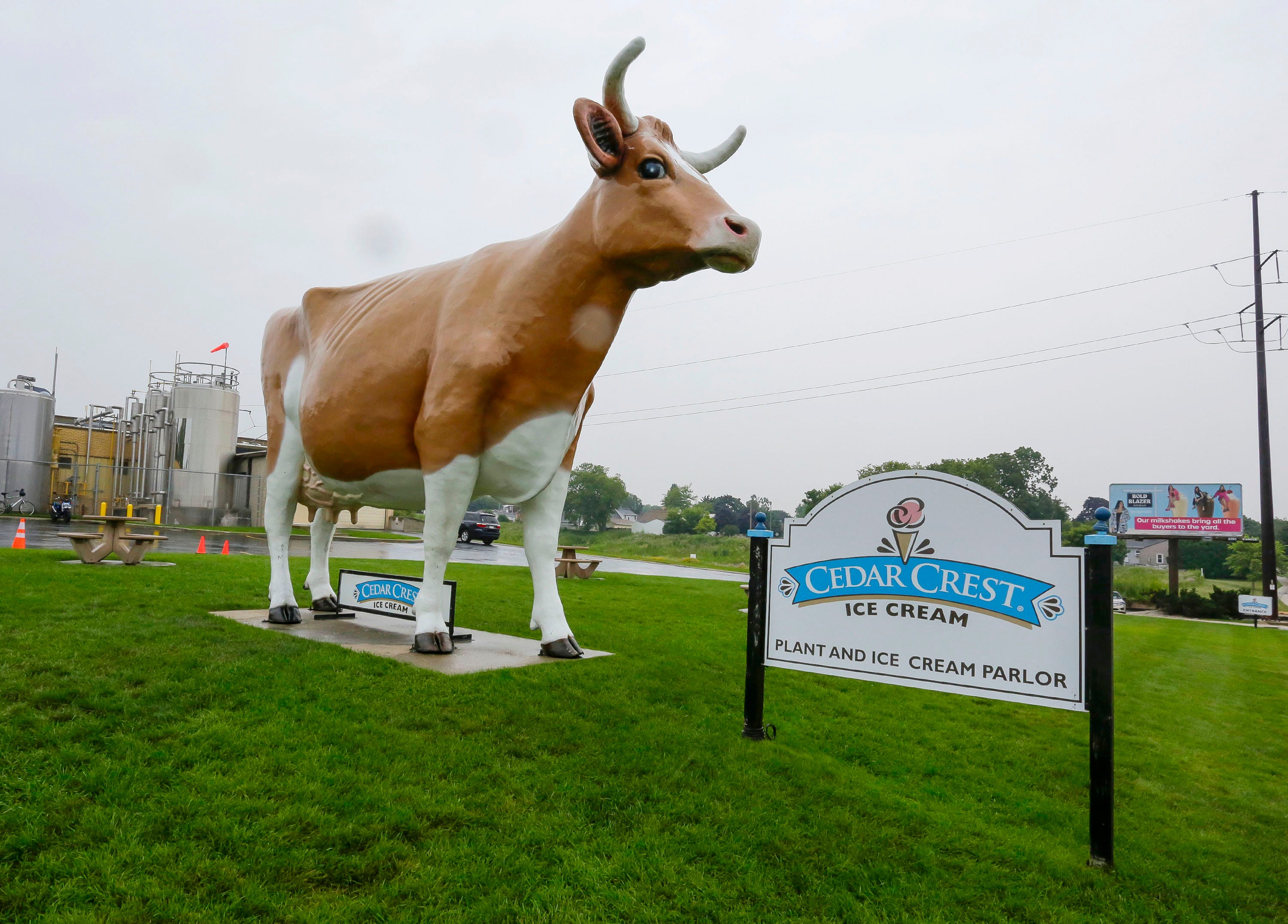 Bernice the cow? A hot tamale? Here's our list of things only a