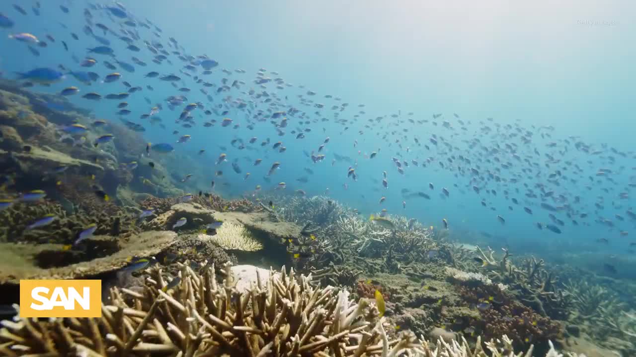 Powerful Earthquake Triggered Tsunamis But Why Didn T They Cause More