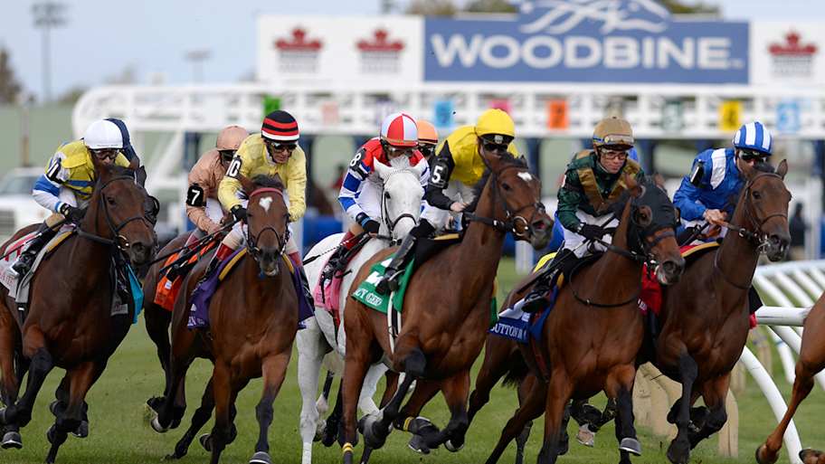 DRF's Horse Racing Playbook for Thursday, June 31, 2025