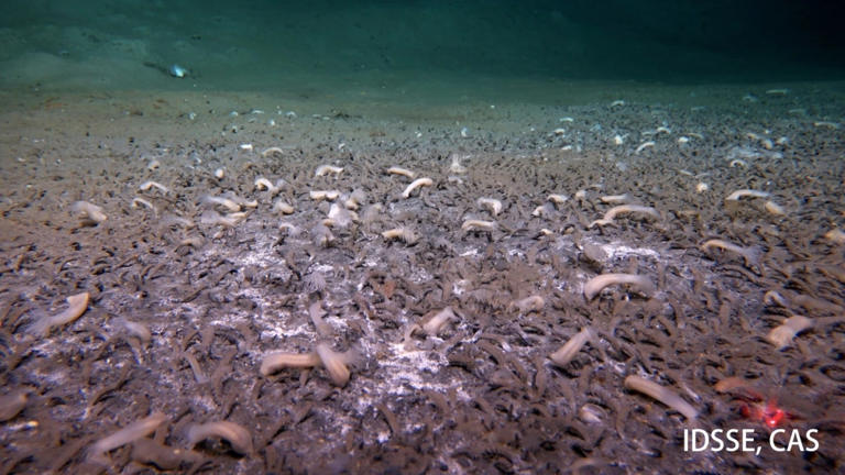 Submersible discovers hidden world in ocean deep enough to swallow Everest
