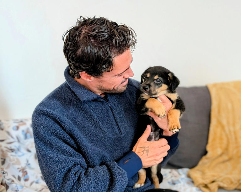 Olly spoke passionately about his love for dogs (Picture: Provided/The Dogs Trust)