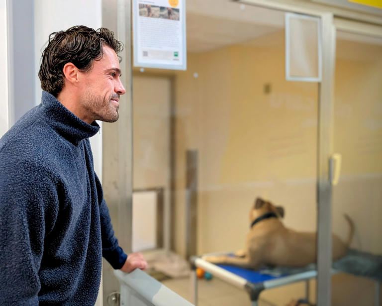 Olly loved how dedicated the volunteers are at the charity (Picture: Provided/The Dogs Trust)