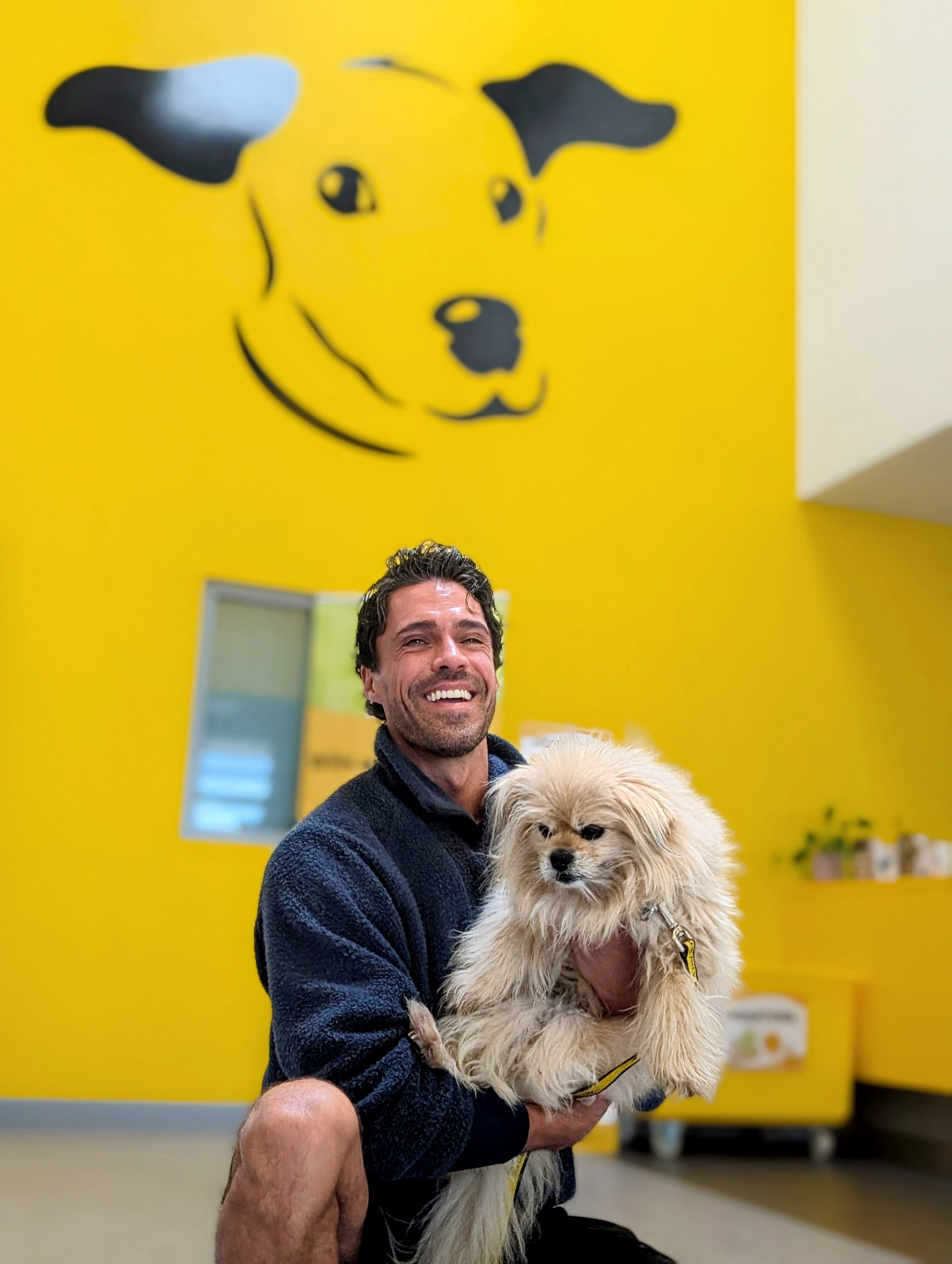 Olly spent time learning about the work The Dogs Trust does to look after abandoned animals (Picture: Provided/The Dogs Trust)