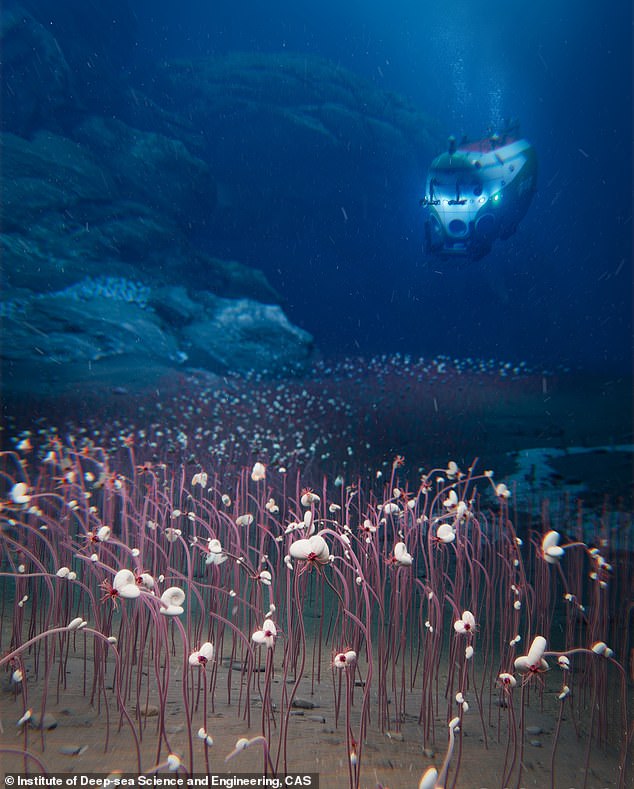 Scientists baffled to discover thousands of creatures thriving in the