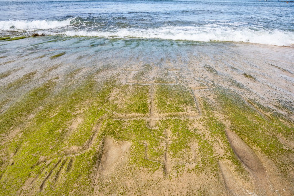 US army makes 500yearold discovery on Hawaii beach