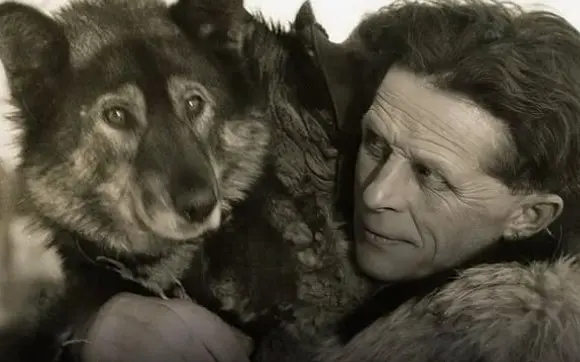 Lobos heróis: conheça a história real por trás do filme "Togo"