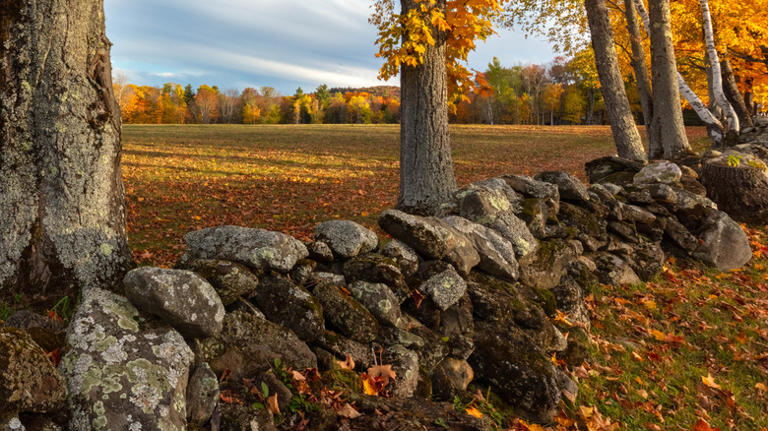 The Real Reason New England Is Lined With Stone Walls Unlike Any Other