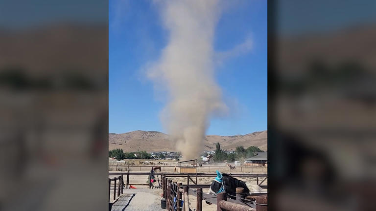 Watch horses appear unfazed by massive dust devil near Utah ranch
