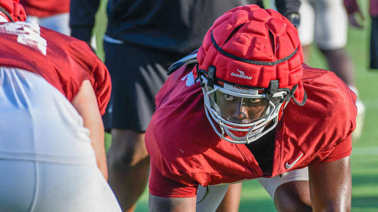 Hogs' junior defensive end provides 'pop' off the edge