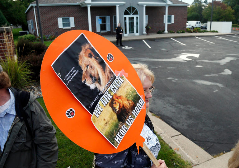Demonstrators gather outside the dental practice of Walter Palmer, Sept. 8, 2015, in Bloomington, Minn. AP Photo/Jim Mone, File) (Copyright 2025 The Associated Press. All rights reserved.)