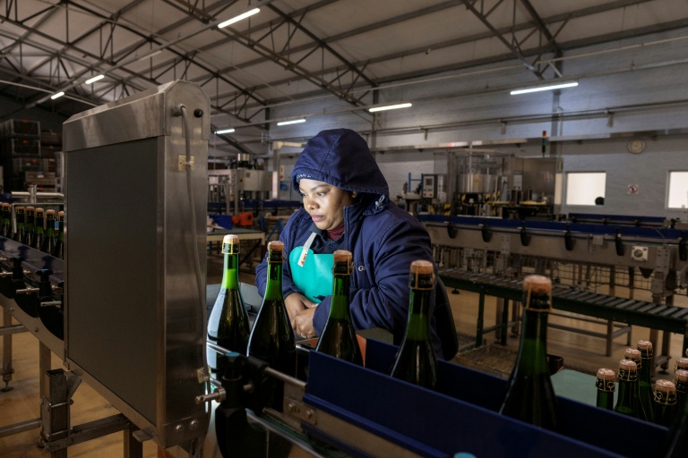 Une ouvrière de Graham Beck examine les bouteilles à la recherche d'éventuels défauts, à Robertson en Afrique du Sud, le 30 juillet 2025.