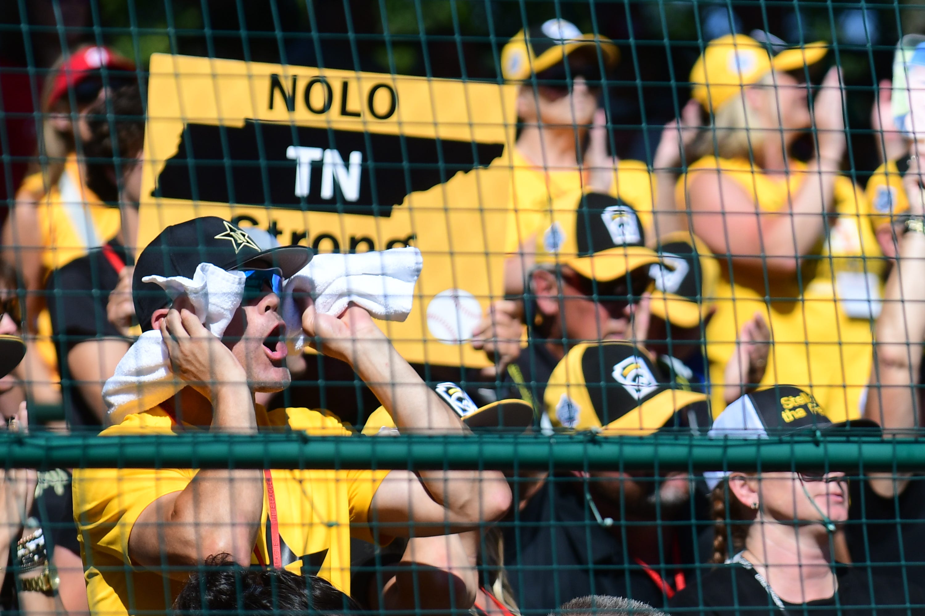 Nolensville Little League eliminated by North Carolina in Southeast ...