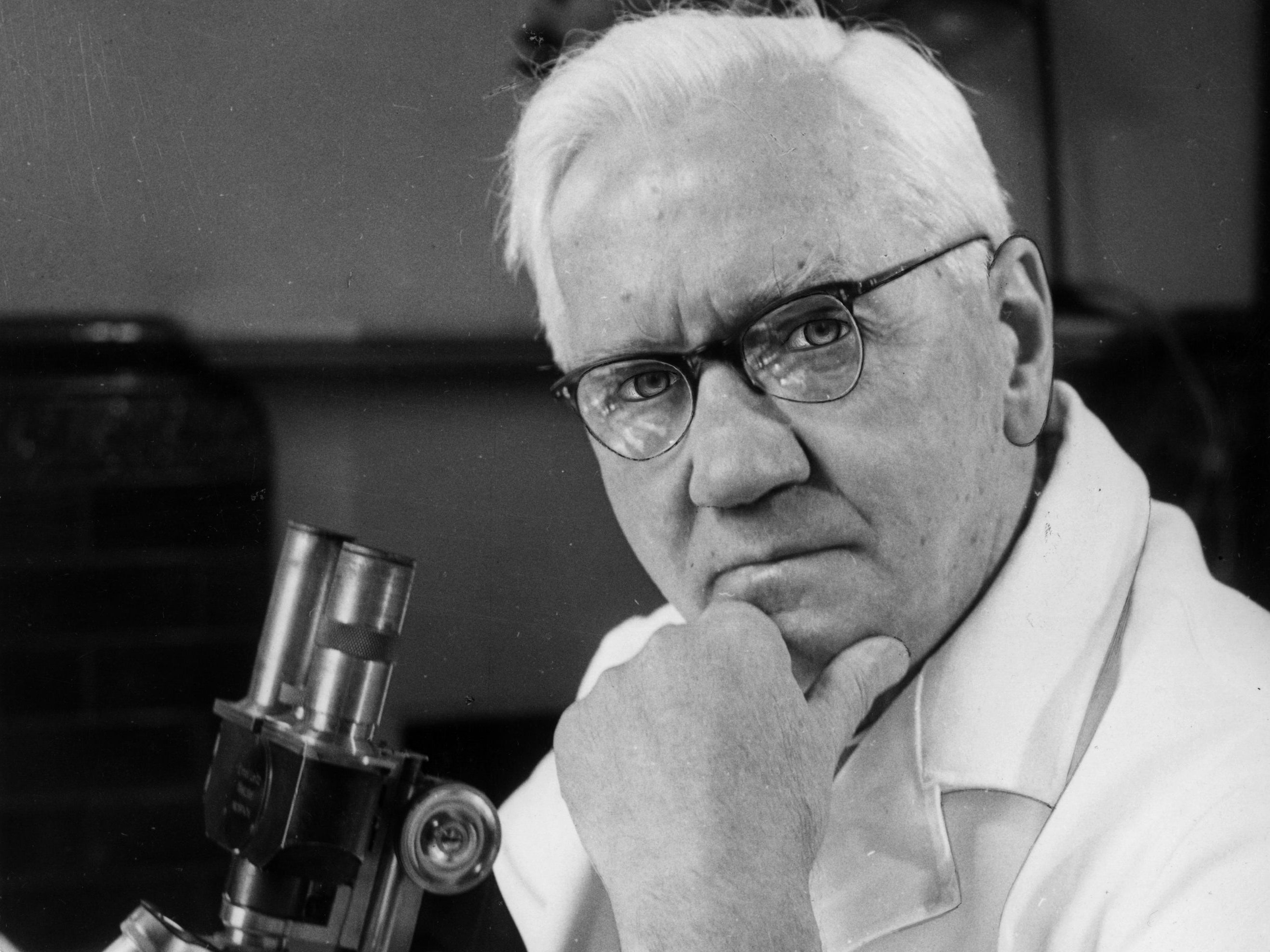 Alexander Fleming (Getty Images)
