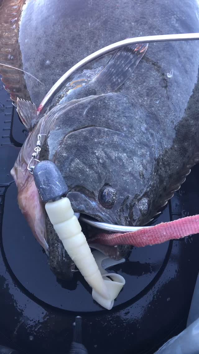 California Halibut Fishing — Big Bites & Proven Lure Tactics!