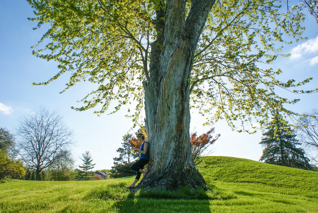 Pruning Your Tree Might Be Illegal (Yes, Even on Your Property) - Yet ...