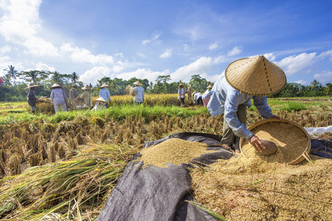 Ekonom Jelaskan Mengapa Pertanian Tak Menarik bagi Generasi Muda