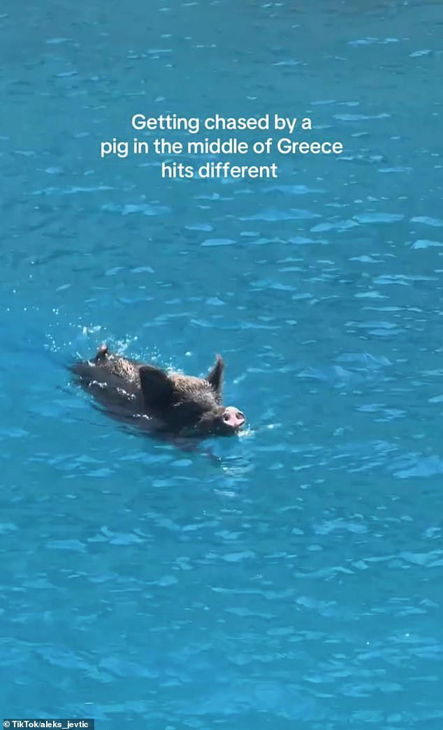 Moment two influencers scramble to get out of water off Greek island