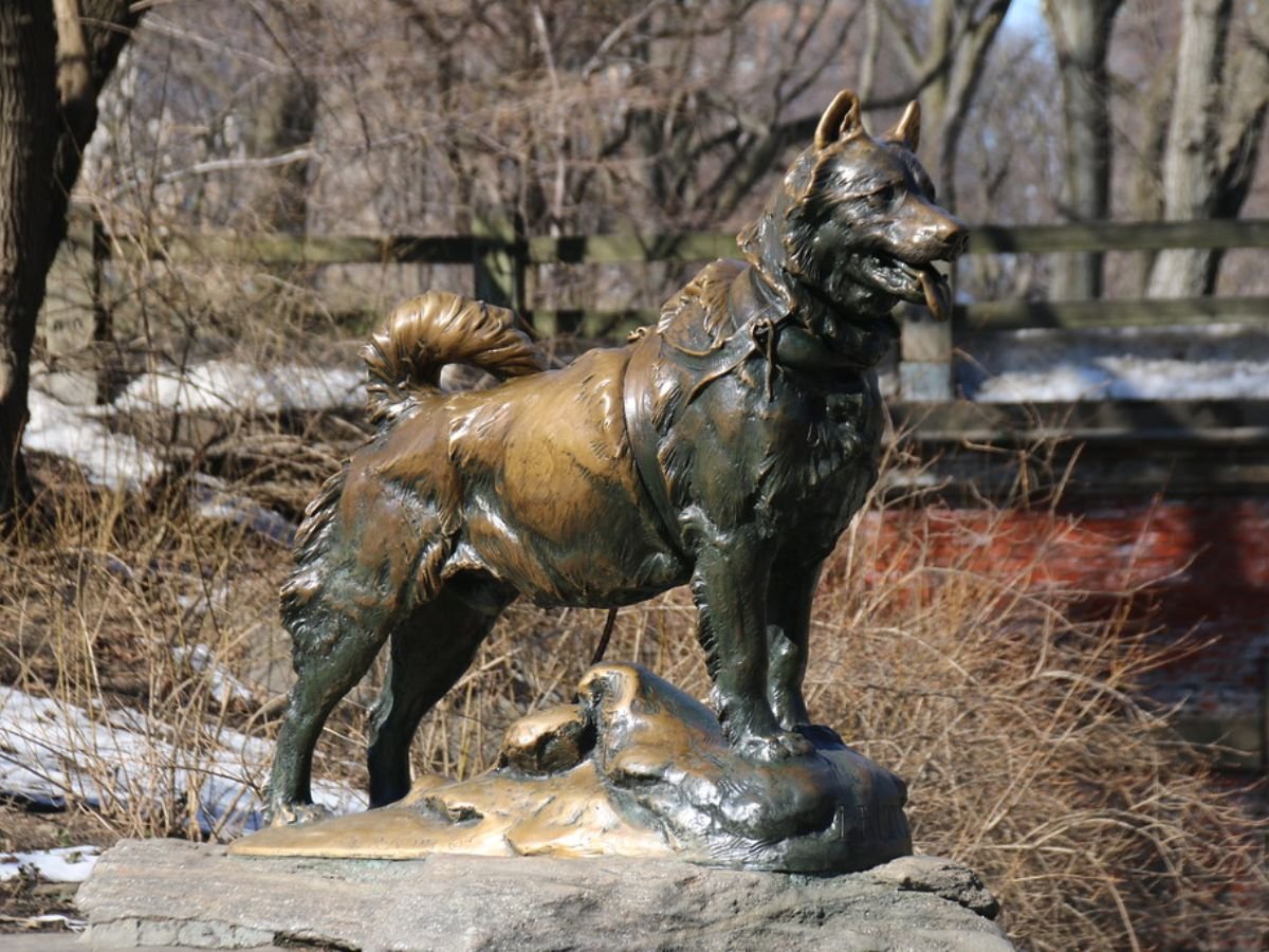 10 Important Animals That Changed History