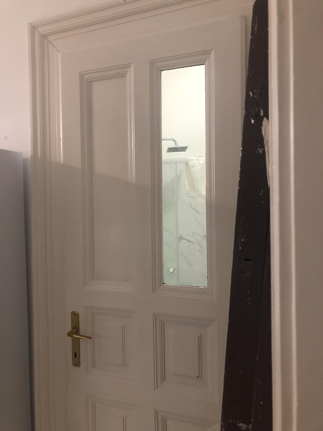 Door with rectangular window showing a view of a showerhead in a bathroom