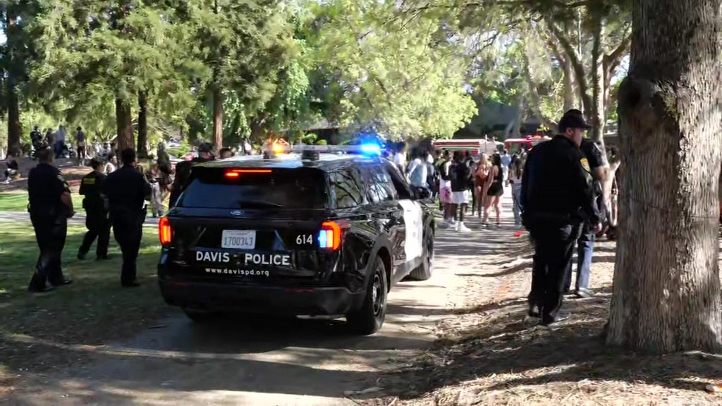 Second suspect in Davis Picnic Day shooting turns himself in, police say