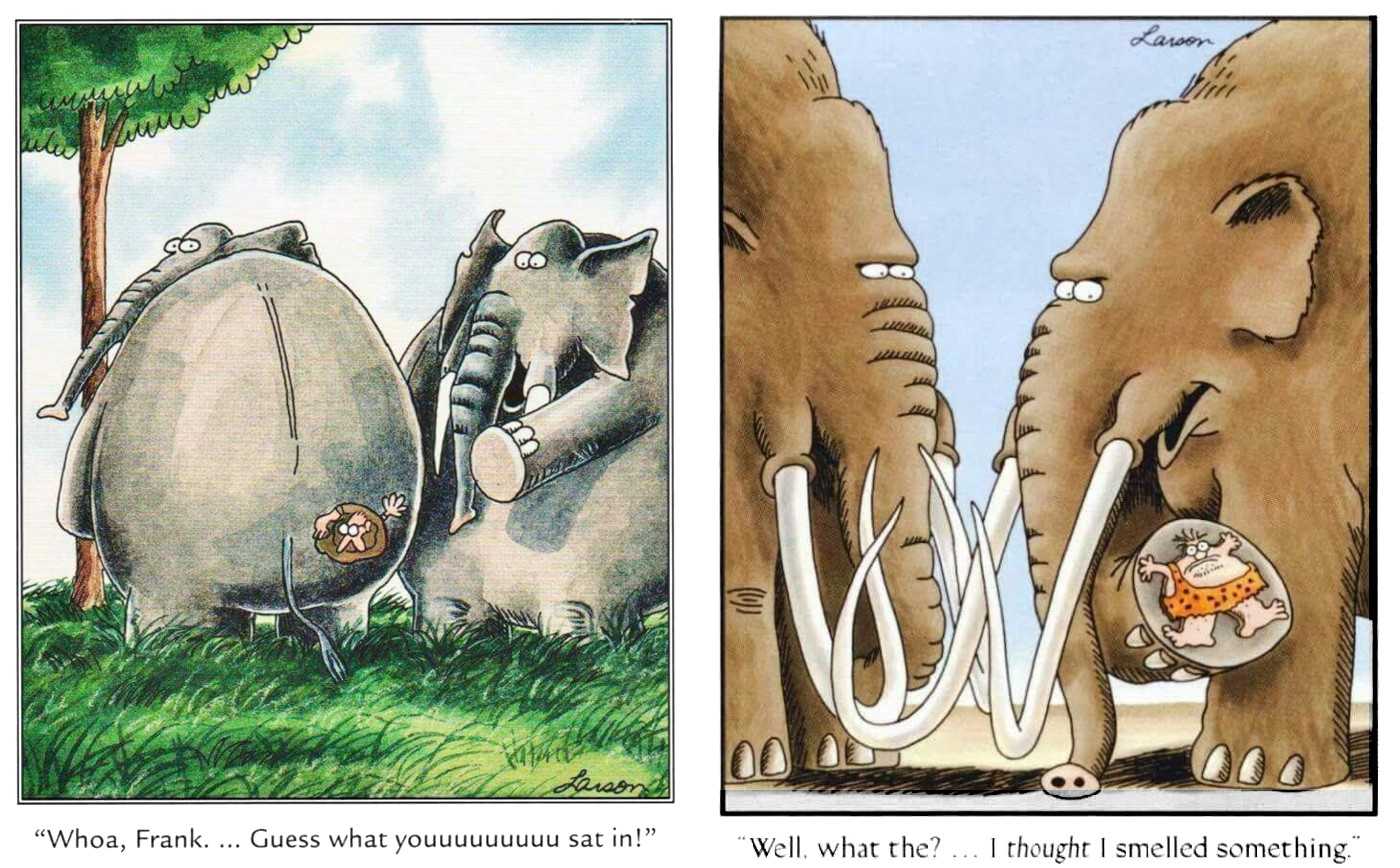 far side elephants crushing people