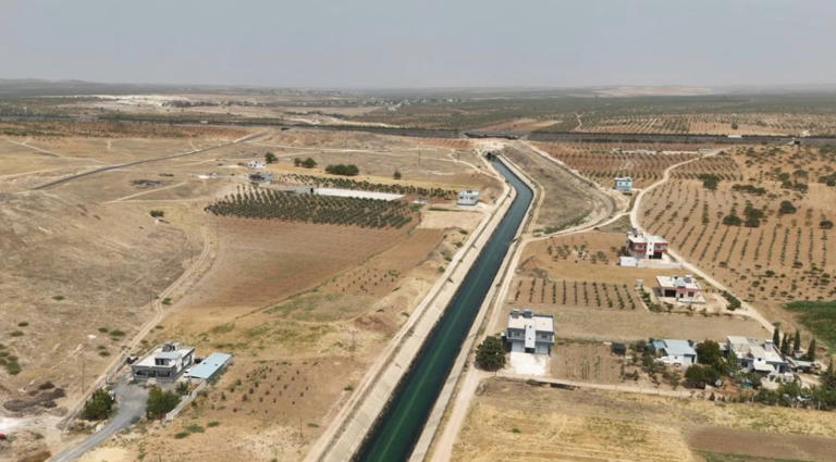 TÜRKİYE'NİN EN SICAK VE KURAK BÖLGELERİNDEN BİRİ OLAN ŞANLIURFA'DA, ZİRAAT MÜHENDİSLERİ ODASI İL BAŞKANI MEHMET SÜZEN, ÖNEMLİ BİR UYARIDA BULUNDU. SÜZEN, ŞANLIURFA'NIN KURAK İKLİM KUŞAĞINDA YER ALDIĞINI VE HER DÖRT YILDA BİR CİDDİ KURAKLIK YAŞANDIĞINI VURGULAYARAK, SU KAYNAKLARININ HIZLA AZALDIĞINA DİKKAT ÇEKTİ.