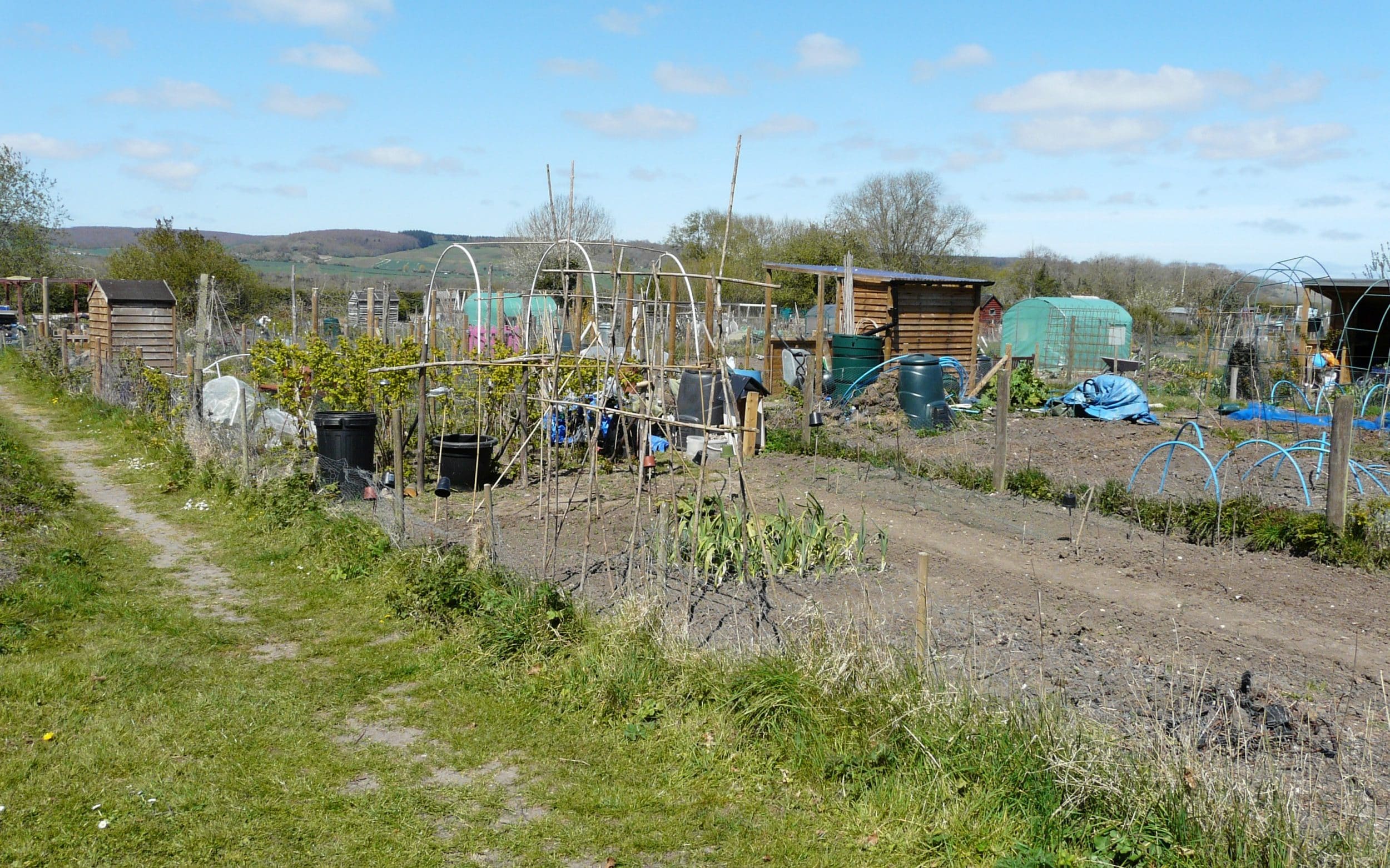An allotment site