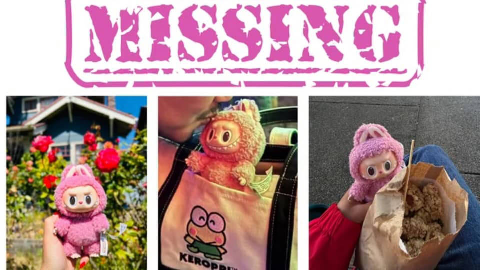 Heartbroken woman offers ₹4 000 reward for lost Labubu doll: Took her Heartbroken woman offers ₹4 000 reward for lost Labubu doll: Took her