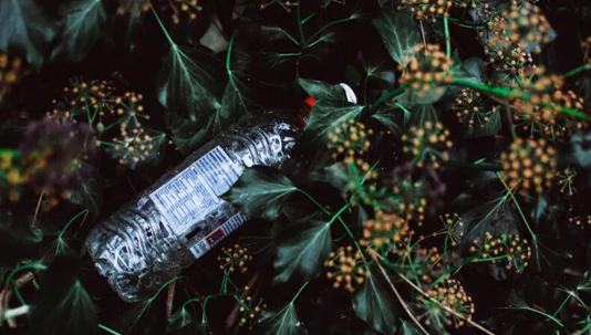 Por qué colocar botellas con agua entre las plantas