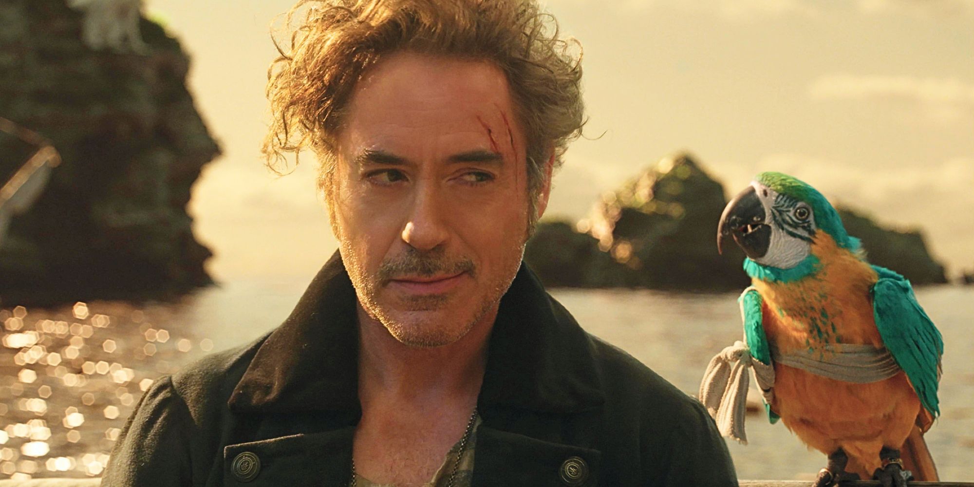 Robert Downey's Jr.s' 'Dolittle' Was His Biggest Box Office Bomb, Now ...