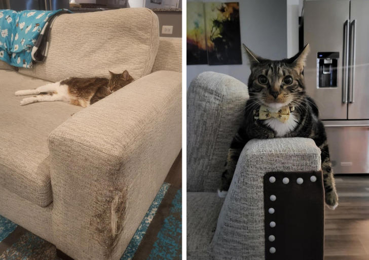 20 Creators Who Turned Old Junk Into Real Treasures