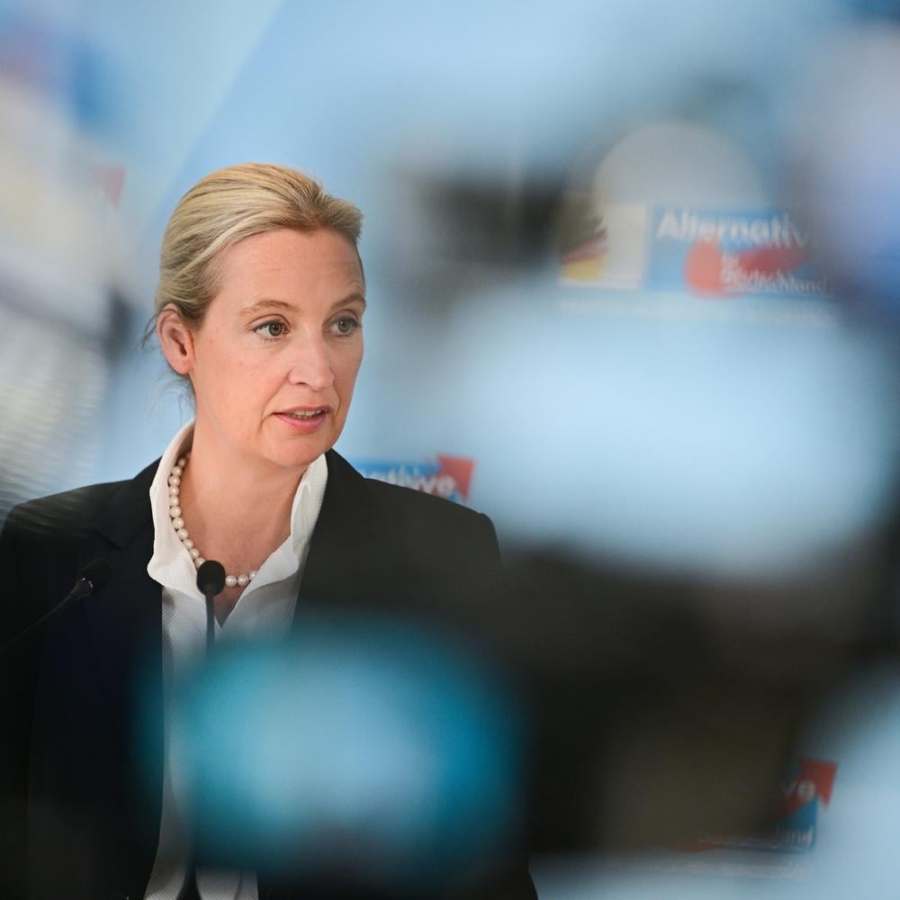 erstmals-seit-mai-afd-erreicht-in-wahlumfrage-wieder-25-prozent