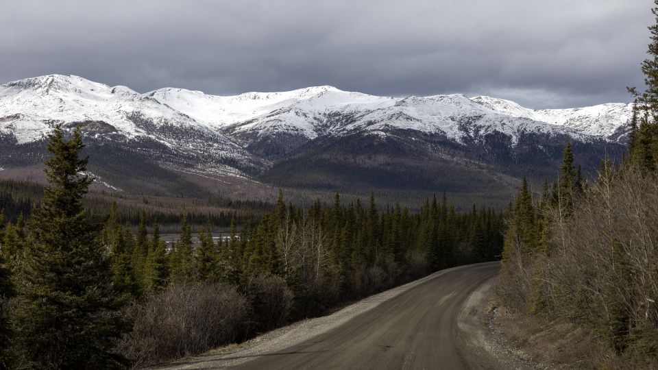 Collision with moose kills driver and injures passenger near Alaska’s(01)