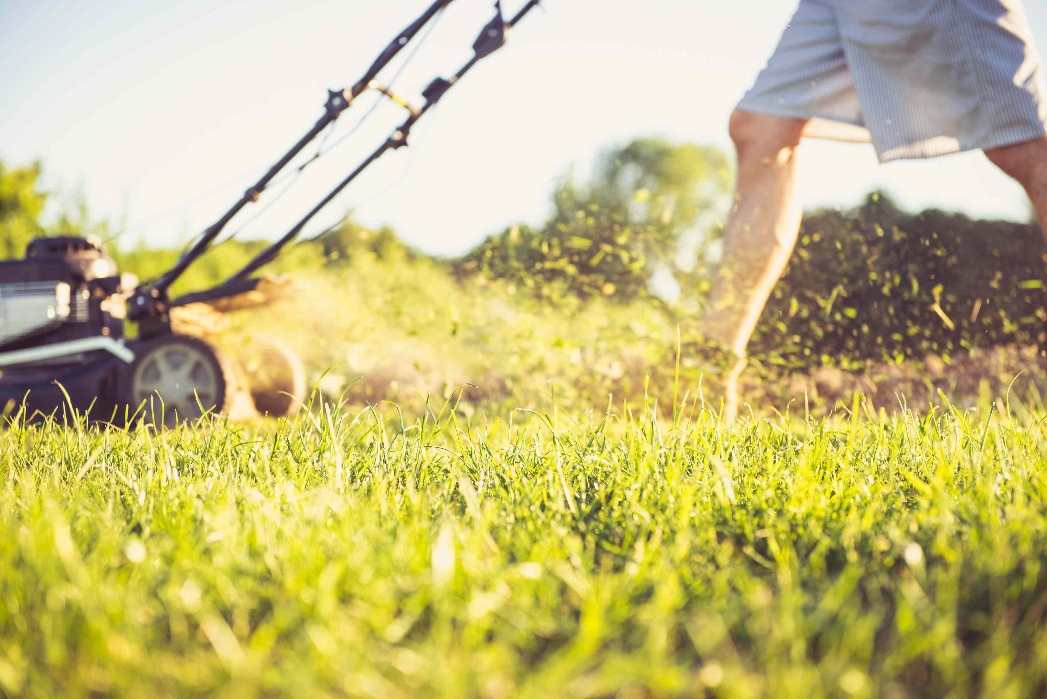 Should You Still Mow Your Lawn In September?